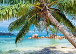Alipson - Tropical Beach - 1000 Piece Jigsaw Puzzle Fashion