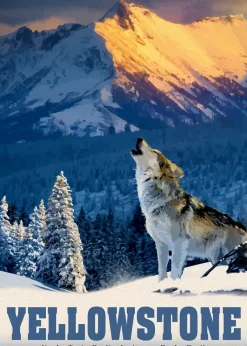 Alipson - Yellowstone Wolf - 500 Piece Jigsaw Puzzle Online