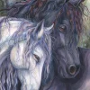 Anatolian - Kindred Spirits - 500 Piece Jigsaw Puzzle Hot