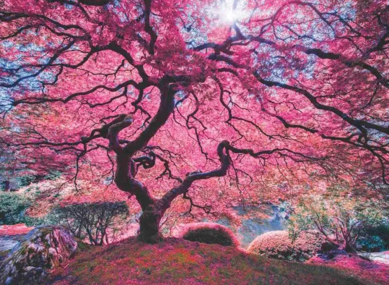 Anatolian - Pink Tree - 1000 Piece Jigsaw Puzzle Online