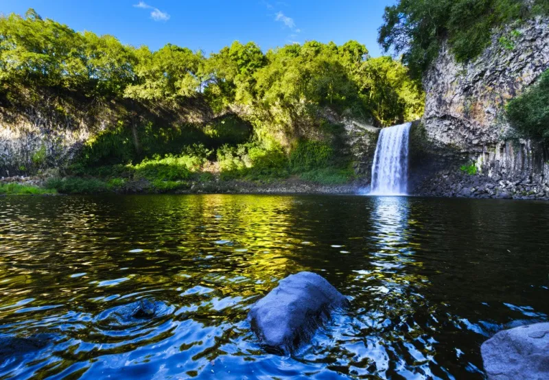Bluebird - Bassin de la Paix, La Réunion, France - 1000 Piece Jigsaw Puzzle Discount