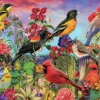 Bluebird - Birds and Blooms Garden - 1000 Piece Jigsaw Puzzle Sale