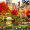 Bluebird - Central Park NYC - 1000 Piece Jigsaw Puzzle Best