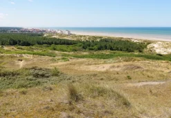 Art by Bluebird Bluebird - Dunes d'Hardelot, Côte d'Opale, France - 1000 piece jigsaw puzzle New