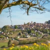 Bluebird - Sancerre, Centre-Val de Loire, France - 1000 Piece Jigsaw Puzzle Hot