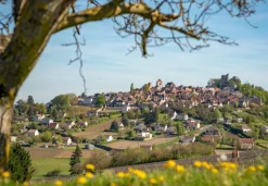 Bluebird - Sancerre, Centre-Val de Loire, France - 1000 Piece Jigsaw Puzzle Hot