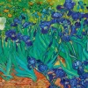 Bluebird - Vincent Van Gogh - Irises, 1889 - 1000 Piece Jigsaw Puzzle Hot