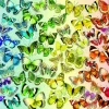 Bluebird Puzzle - Butterflies - 1000 Piece Jigsaw Puzzle Discount