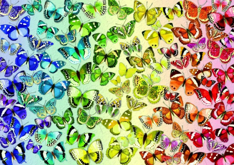 Bluebird Puzzle - Butterflies - 1000 Piece Jigsaw Puzzle Discount
