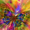 Bluebird Puzzle - Colorful Butterfly - 1500 Piece Jigsaw Puzzle Best