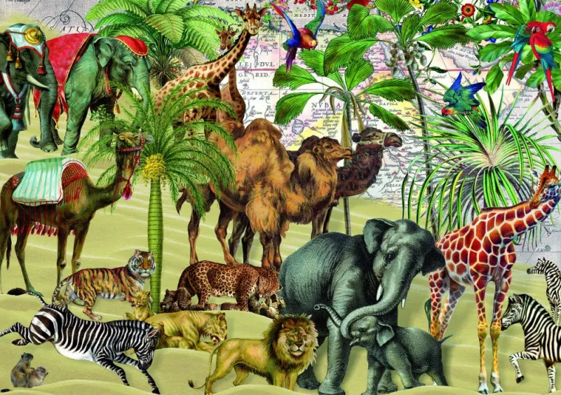 Bluebird Puzzle - Desert - 1000 Piece Jigsaw Puzzle Discount
