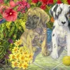 Bluebird Puzzle 70068 Double Trouble 1000 Piece Puzzle Clearance