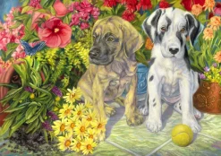 Bluebird Puzzle 70068 Double Trouble 1000 Piece Puzzle Clearance