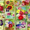 Bluebird Puzzle - Flower Pictures - 1500 Piece Jigsaw Puzzle Hot
