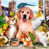 Bluebird Puzzle - Good Companions - 500 Piece Jigsaw Puzzle Fashion