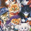 Bluebird Puzzle - Kittens In Closet - 1000 Piece Puzzle Discount