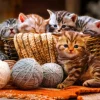 Bluebird Puzzle - Kittens in Basket - 1000 Piece Jigsaw Puzzle Hot