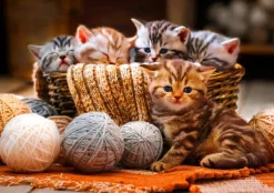 Bluebird Puzzle - Kittens in Basket - 1000 Piece Jigsaw Puzzle Hot