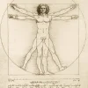 Art by Bluebird Bluebird Puzzle - Leonardo Da Vinci - The Vitruvian Man, 1490 - 1000 Piece Jigsaw Puzzle Discount