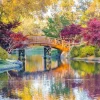 Bluebird Puzzle - Midwest Botanical Garden - 1500 Piece Jigsaw Puzzle Online