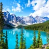 Bluebird Puzzle - Moraine Lake in Banff National Park - 1500 Piece Jigsaw Puzzle Discount