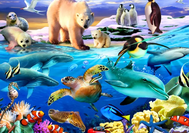 Bluebird Puzzle 70288 Oceans of Life 1000 piece jigsaw puzzle Fashion