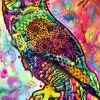 Bluebird Puzzle - Owl - 1000 Piece Jigsaw Puzzle Best