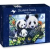 Bluebird Puzzle - Panda Family - 1000 Piece Jigsaw Puzzle Fashion