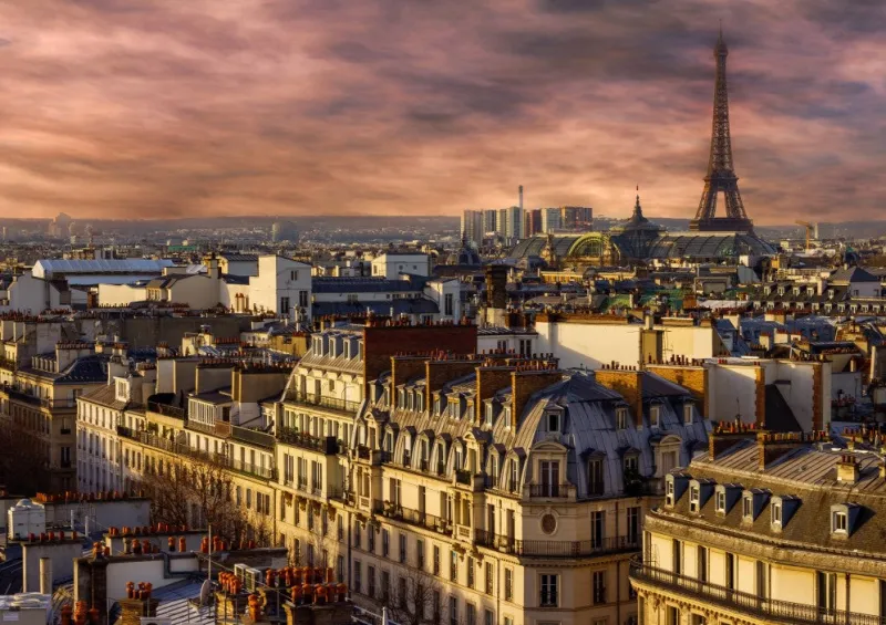 Bluebird Puzzle - Paris, France - 1000 Piece Jigsaw Puzzle New