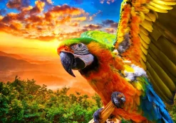 Bluebird Puzzle - Parrot - 1000 Piece Jigsaw Puzzle New