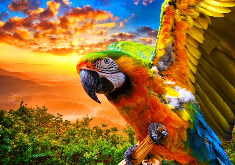 Bluebird Puzzle - Parrot - 1000 Piece Jigsaw Puzzle New