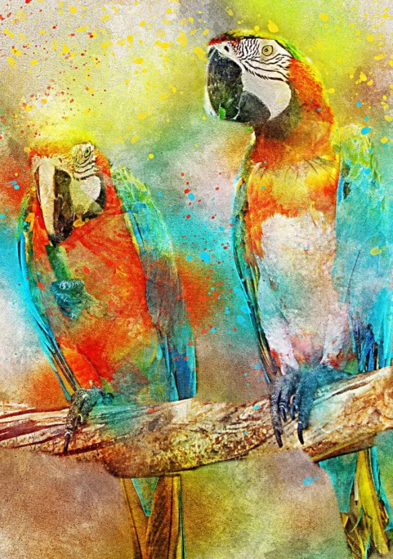 Bluebird Puzzle - Parrots - 1000 Piece Puzzle New