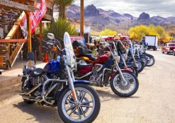 Bluebird Puzzle - Rt 66 Fun Run Oatman Motorcycles 4-16 8377 - 1000 Piece Jigsaw Puzzle New