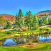 Bluebird Puzzle - Stowe, Vermont, USA - 1000 Piece Jigsaw Puzzle New