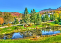 Bluebird Puzzle - Stowe, Vermont, USA - 1000 Piece Jigsaw Puzzle New