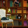 Bluebird Puzzle - The Vintage Library - 1000 Piece Jigsaw Puzzle Fashion