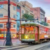 Bluebird Puzzle - Tramway, New Orleans, USA - 1000 Piece Jigsaw Puzzle Discount
