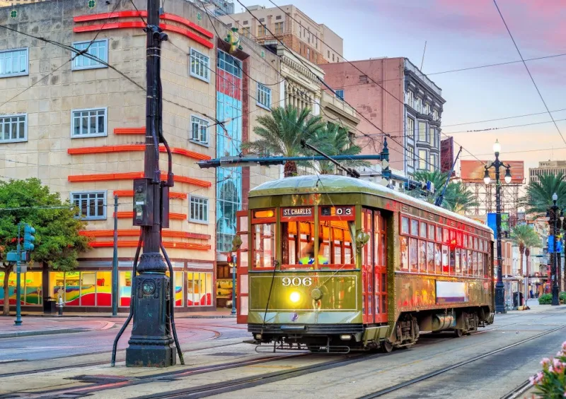 Bluebird Puzzle - Tramway, New Orleans, USA - 1000 Piece Jigsaw Puzzle New