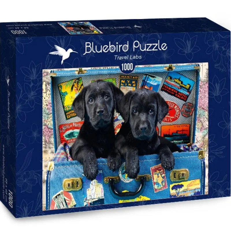 Bluebird Puzzle - Travel Labs - 1000 Piece Jigsaw Puzzle Online