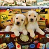 Bluebird Puzzle - Two Travel Puppies - 1000 Piece Jigsaw Puzzle New
