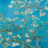 Art by Bluebird Bluebird Puzzle - Vincent Van Gogh - Almond Blossom, 1890 - 1000 Piece Jigsaw Puzzle Clearance