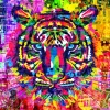 Bluebird Puzzle - Wonderful Tiger - 1000 Piece Jigsaw Puzzle Online