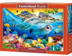 Castorland - Dolphins in the Tropics - 1000 Piece Jigsaw Puzzle Fashion
