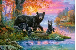 Castorland - Fishing Spot - 1000 Piece Jigsaw Puzzle Discount