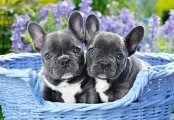 Castorland - French Bulldog Puppies - 1000 Piece Jigsaw Puzzle Fashion