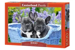 Castorland - French Bulldog Puppies - 1000 Piece Jigsaw Puzzle Fashion