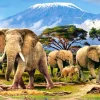 Castorland - Kilimanjaro Morning - 1000 Piece Jigsaw Puzzle New