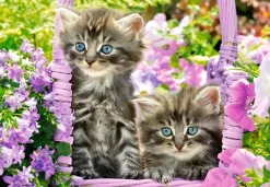 Castorland - Kittens in Summer Garden - 1000 Piece Jigsaw Puzzle Clearance