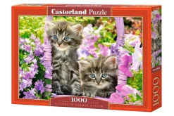 Castorland - Kittens in Summer Garden - 1000 Piece Jigsaw Puzzle Clearance
