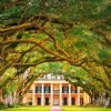 Castorland - Oak Alley Plantation - 1000 Piece Jigsaw Puzzle Online